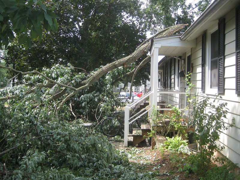Picture of a tree branch that fell on a home after a severe wind storm