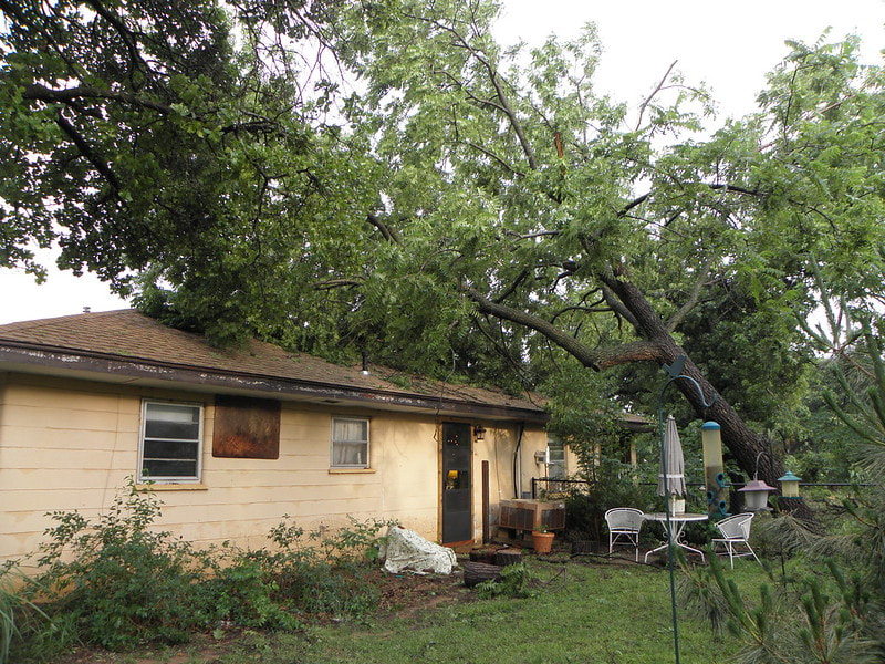Emergency Tree Service - Removing fallen tree off home after severe wind thunderstorm